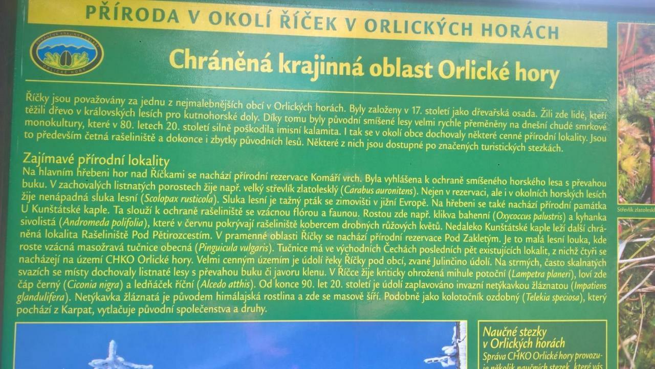 Apartman Nad Terasou Říčky Exterior foto